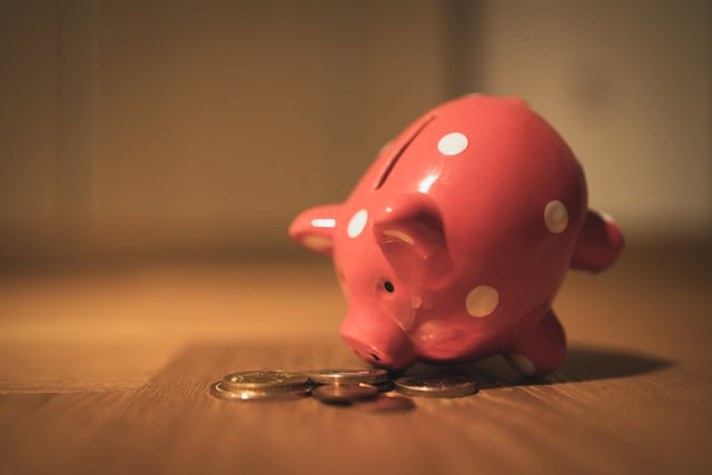 A piggie Bank Sniffing Pennies