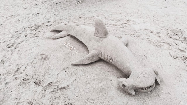 A shark molded out of sand